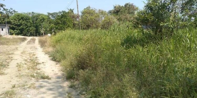 Multarán a dueños de predios abandonados