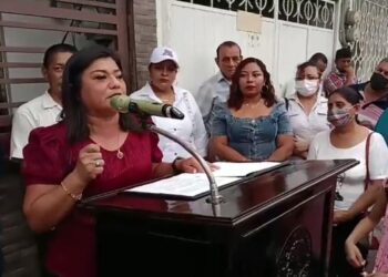 Anita Becerril, nueva dirigente de Morena