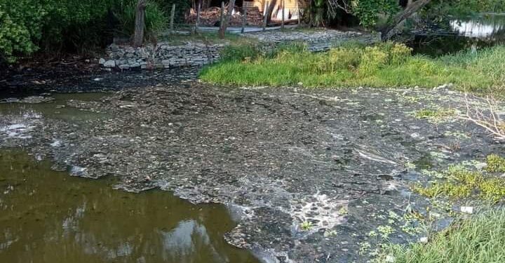 Río seco, foco de infección