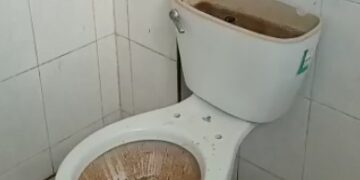 Les dan largas y pretextos