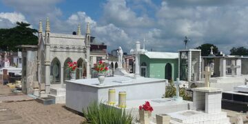 “¡Mi mamá murió de tristeza!”