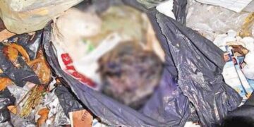 Rescatan de basurero el cadáver de recién nacido