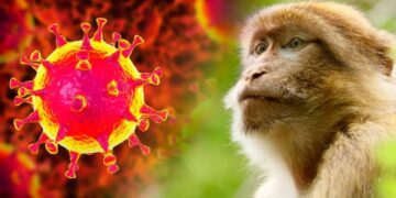 Las pandemias, otra amarga realidad