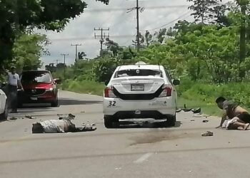 Invasión mortal