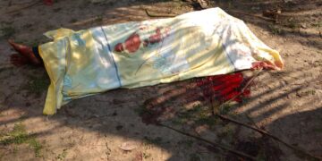 Pasaporte al panteón