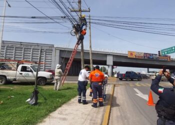 Se salvó de milagro