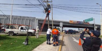 Se salvó de milagro