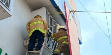 Derribado por temporal