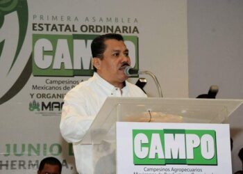 Falta más capacitación