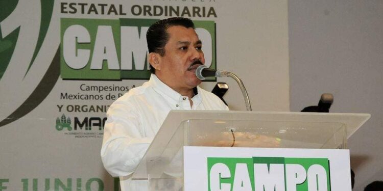 Falta más capacitación