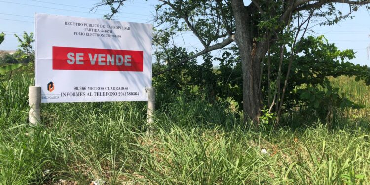 Laguna El Negro en extinción