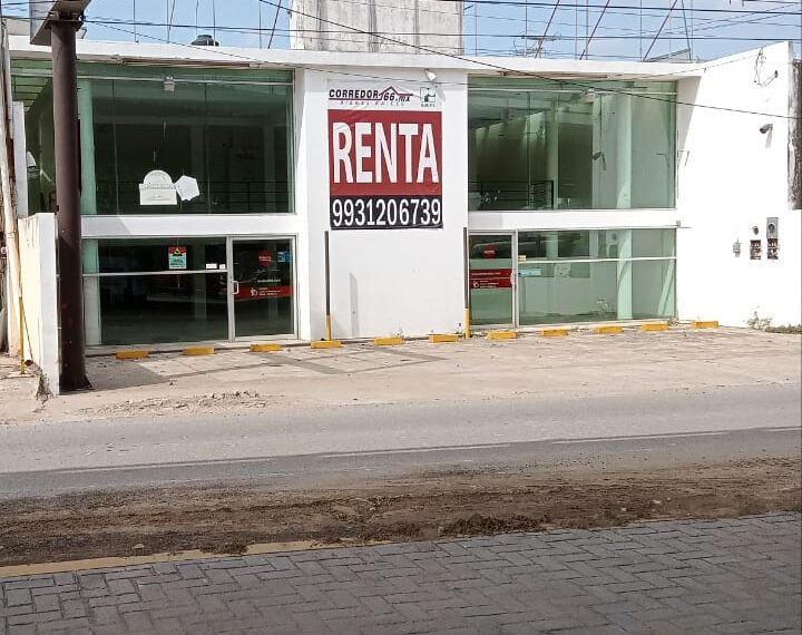 Desarrollo contrastante