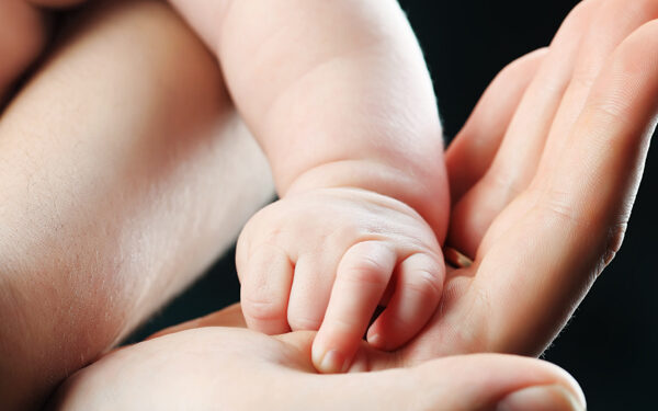 Existen 59 nacimientos por vientre subrogado