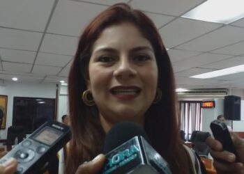 Nada definido en el IEPC