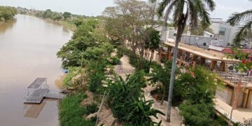 Juegos “mortales”