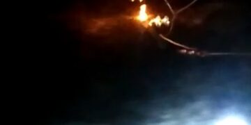 Habitan en la oscuridad