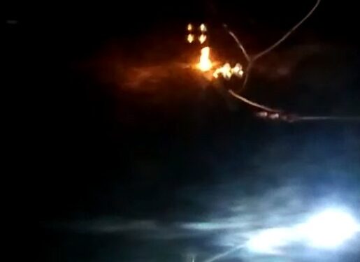 Habitan en la oscuridad