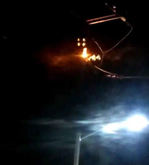 Habitan en la oscuridad