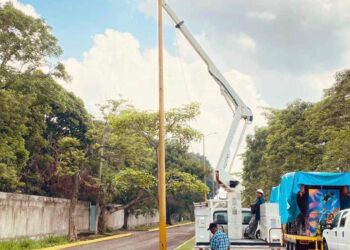 Iluminados por 15 días
