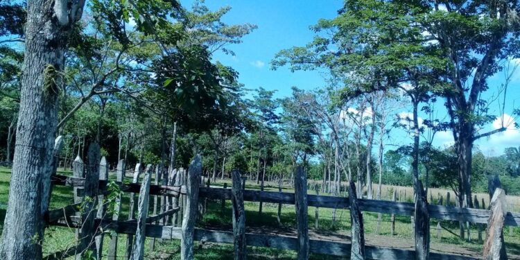 De mendigo a millonario