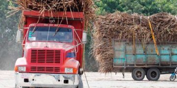 Cañeros desamparados