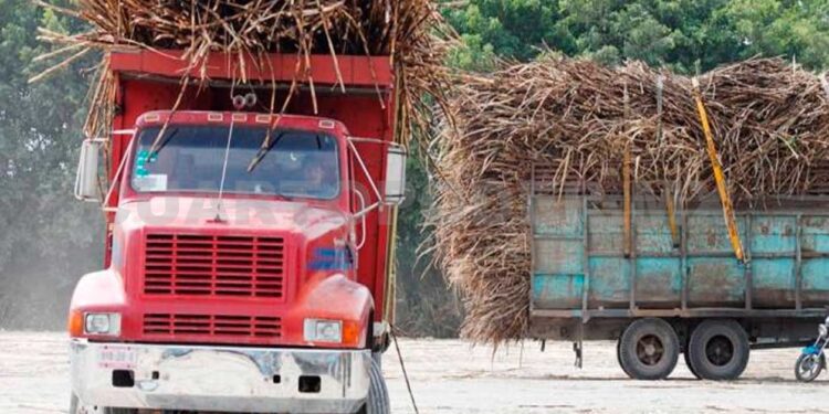 Cañeros desamparados