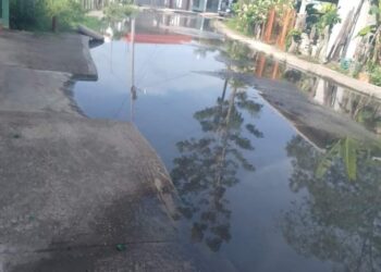 Inundados de pudrición