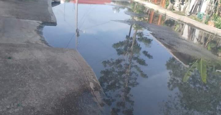 Inundados de pudrición