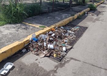 Ciudadanía inconsciente