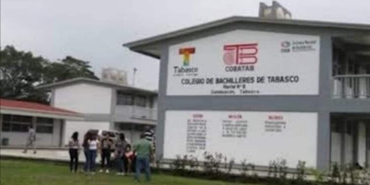 Megatransa en Cobatab