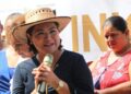 Gabinete incapaz