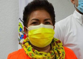 Desaparece Ana Castellanos más de 6 MDP de obra social