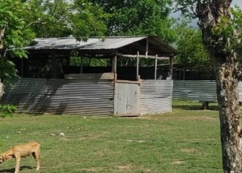 Construye Chelo Cano baños de medio millón