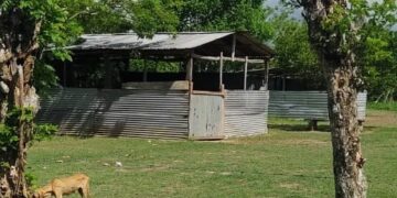 Construye Chelo Cano baños de medio millón