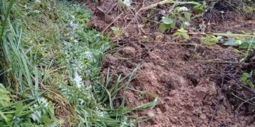 Comunidades inundadas