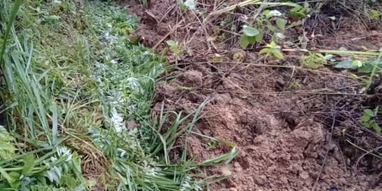 Comunidades inundadas