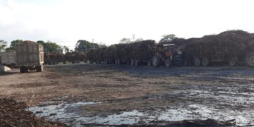 Habitan en la inseguridad