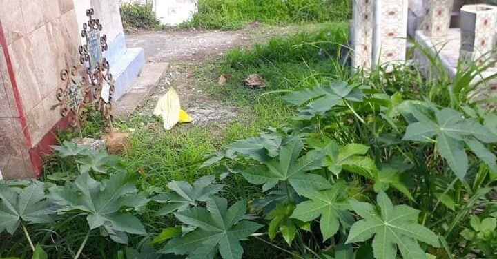 Panteones abandonados