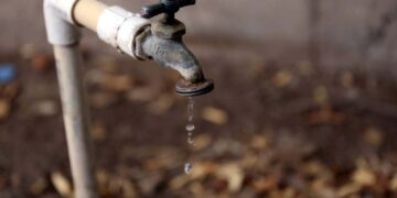 Colonias deshidratadas