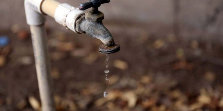 Colonias deshidratadas