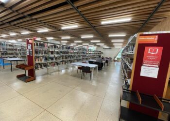Fenecen bibliotecas
