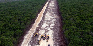 Reanudan trabajos del tramo 5 de Tren Maya