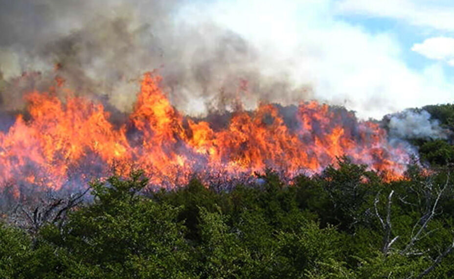 Devastadas 50 mil hectáreas de pastizales por incendios
