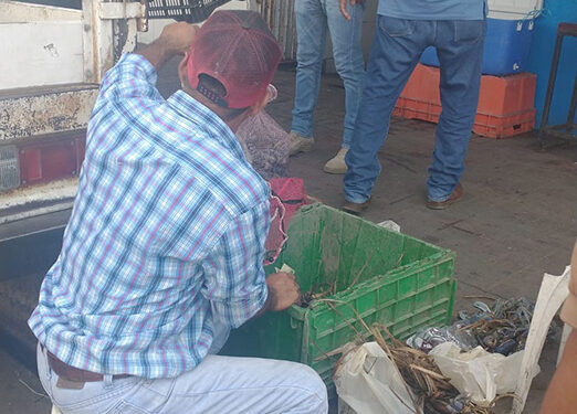 “Asalto” oficial a pescador