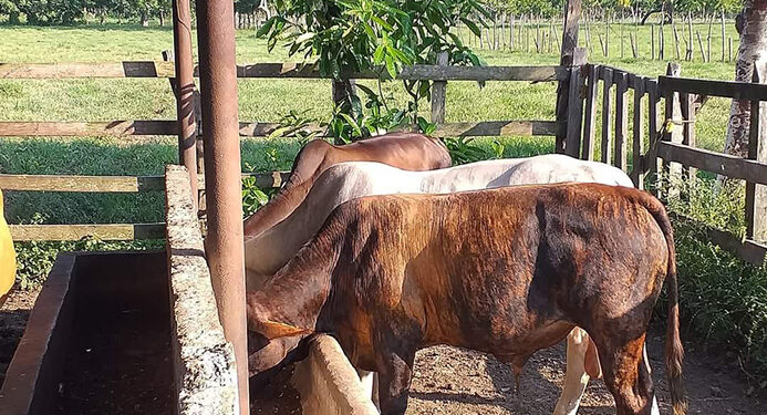 Ganaderos preocupados
