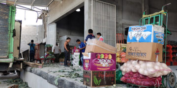 Llegó “La Principal”