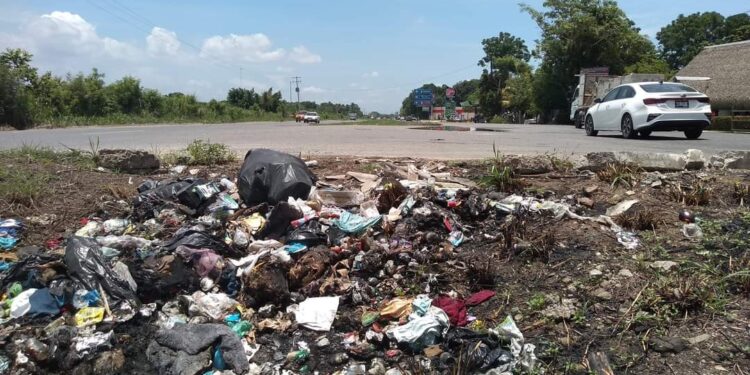 Basurero en autopista