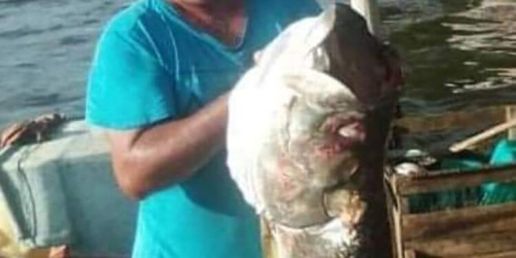 Desaparecen pescadores