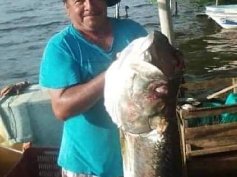 Desaparecen pescadores