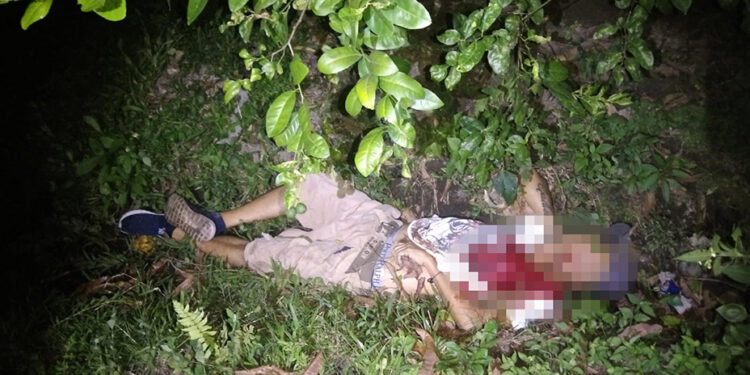 Lo llenaron de plomo